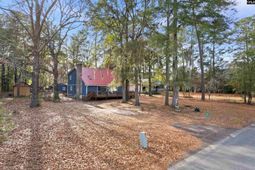 153 Driftwood Drive photo 4