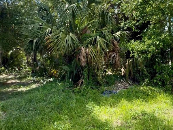 S FRANKLIN STREET, PLANT CITY, FL 33563