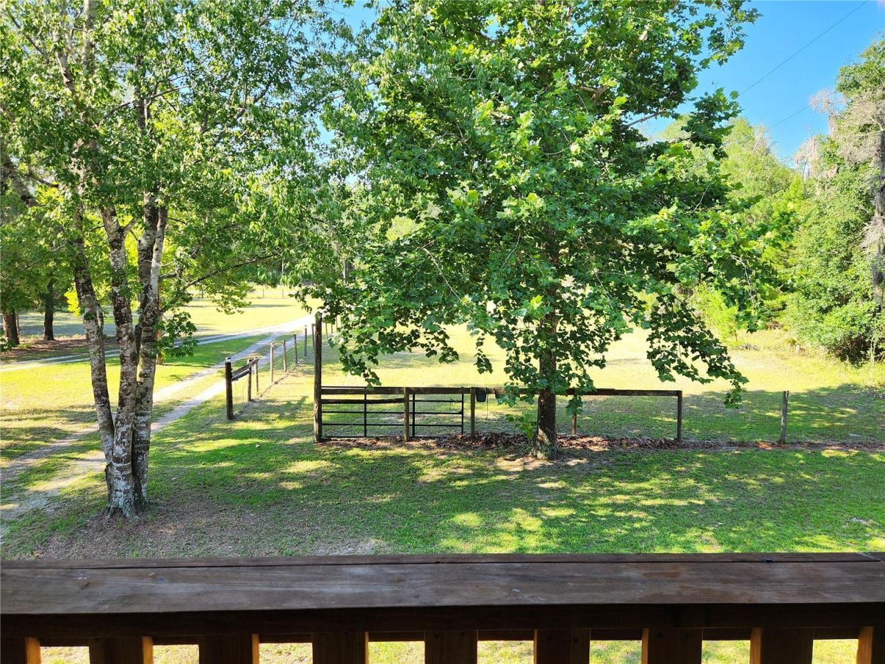 13501 NE 245th Street Road , Fort Mc Coy, FL 32134 Photo