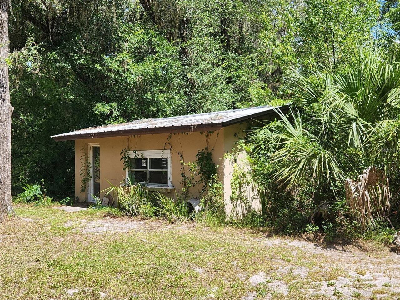 13501 NE 245th Street Road , Fort Mc Coy, FL 32134 Photo