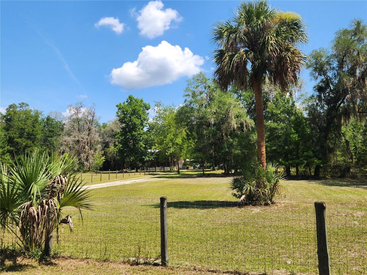 13501 NE 245th Street Road , Fort Mc Coy, FL 32134 Photo