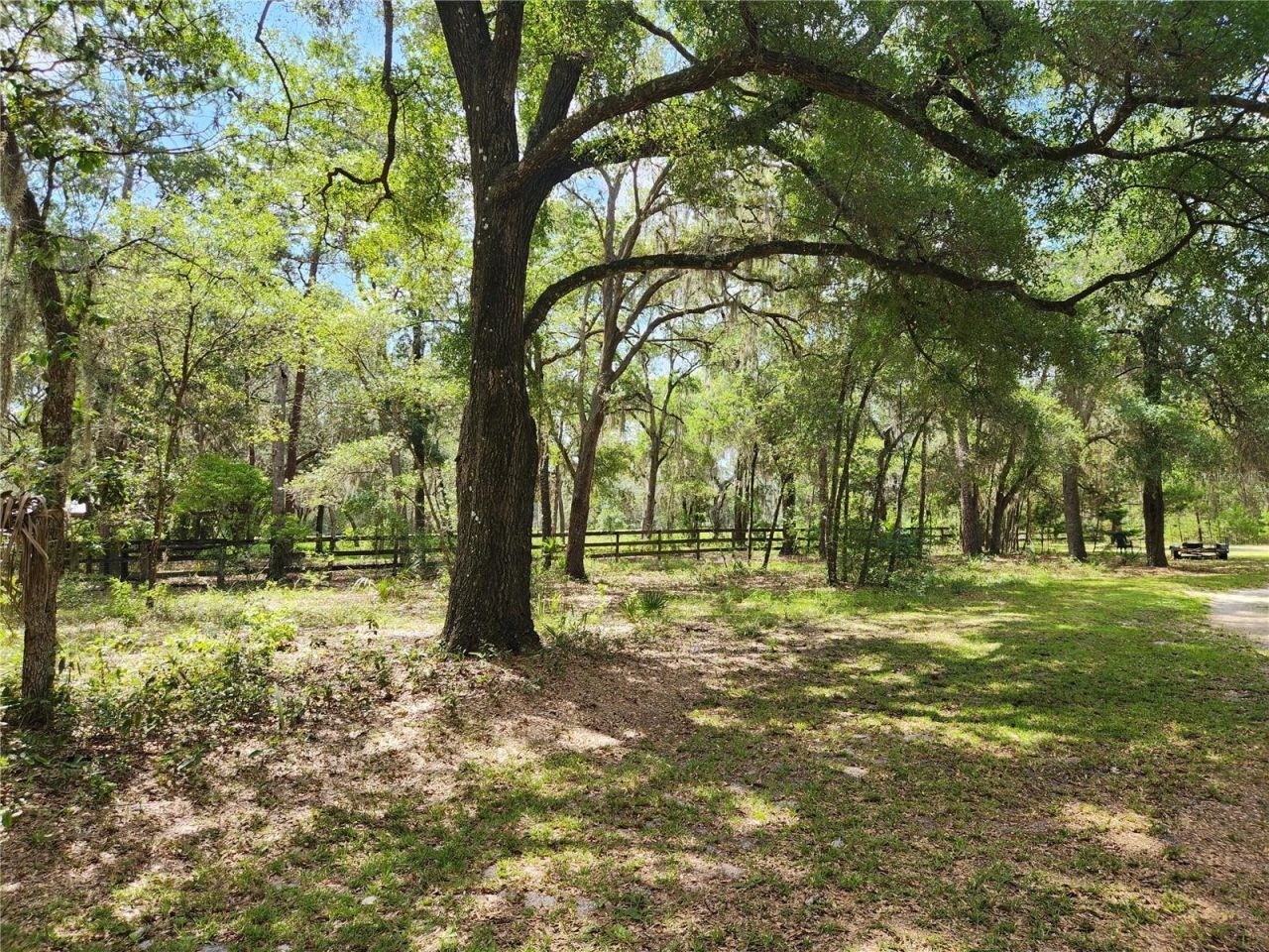 13501 NE 245th Street Road , Fort Mc Coy, FL 32134 Photo