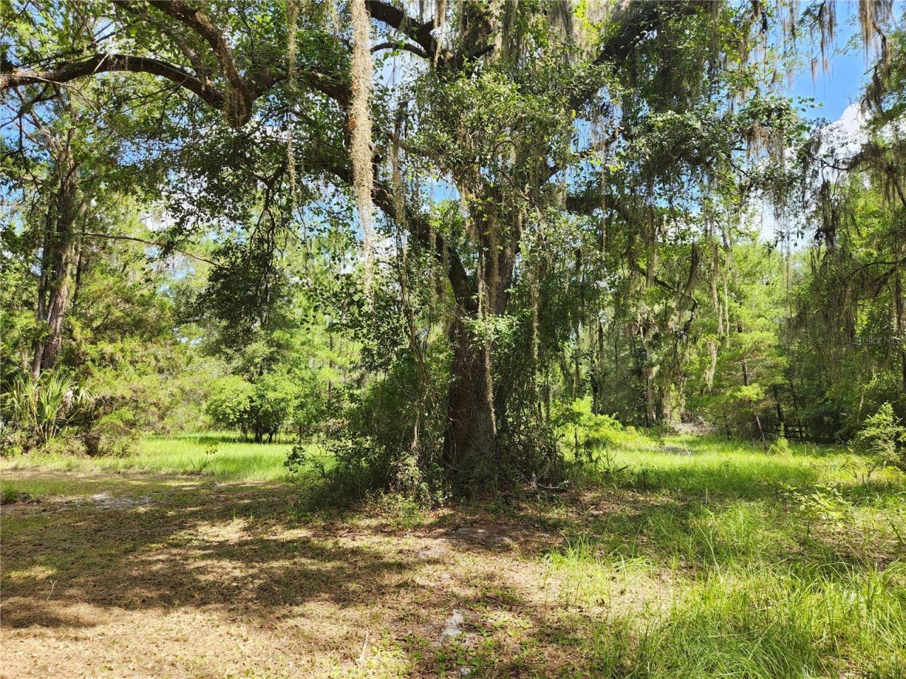13501 NE 245th Street Road , Fort Mc Coy, FL 32134 Photo