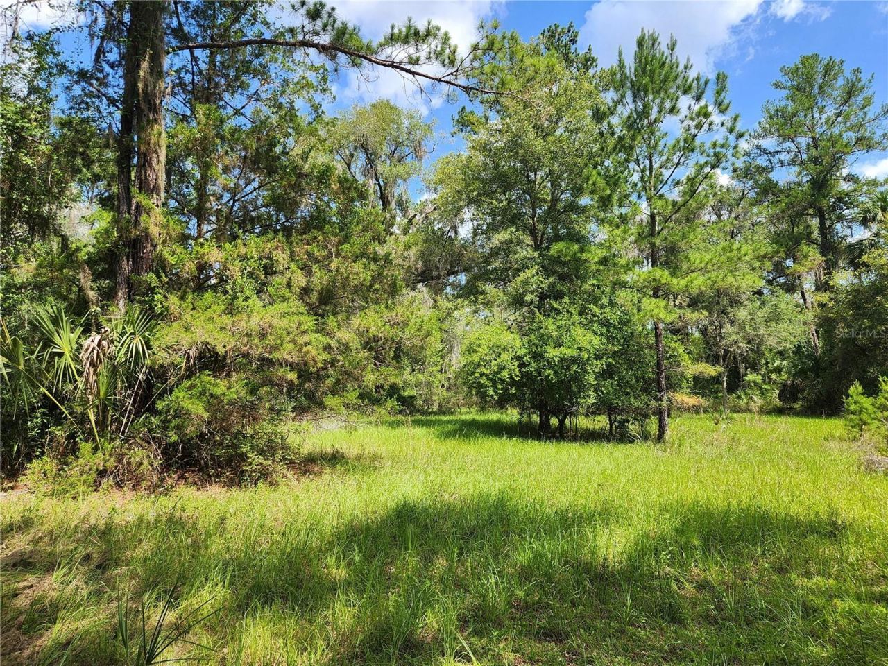 13501 NE 245th Street Road , Fort Mc Coy, FL 32134 Photo