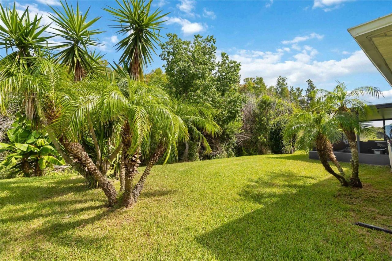 3014 Sand Stone Circle , Saint Cloud, FL 34772 Photo