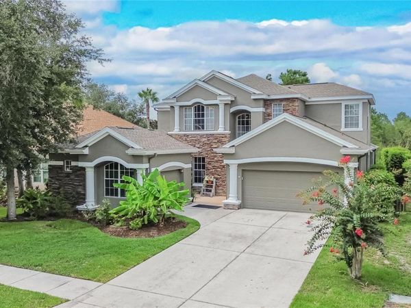 10103 DEERCLIFF DRIVE , TAMPA, FL 33647