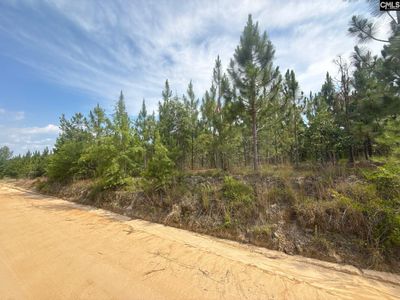MPF 1 State Rd S-28-31 Road , Unit MPF 1, Jefferson, SC 29718