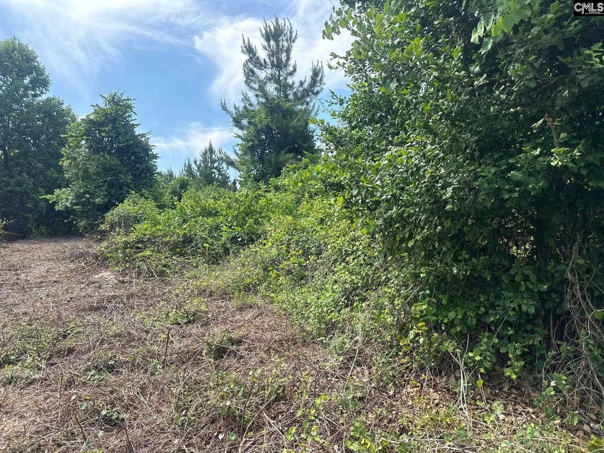 Mpf 1 State Rd S-28-31 Road  Photo 11