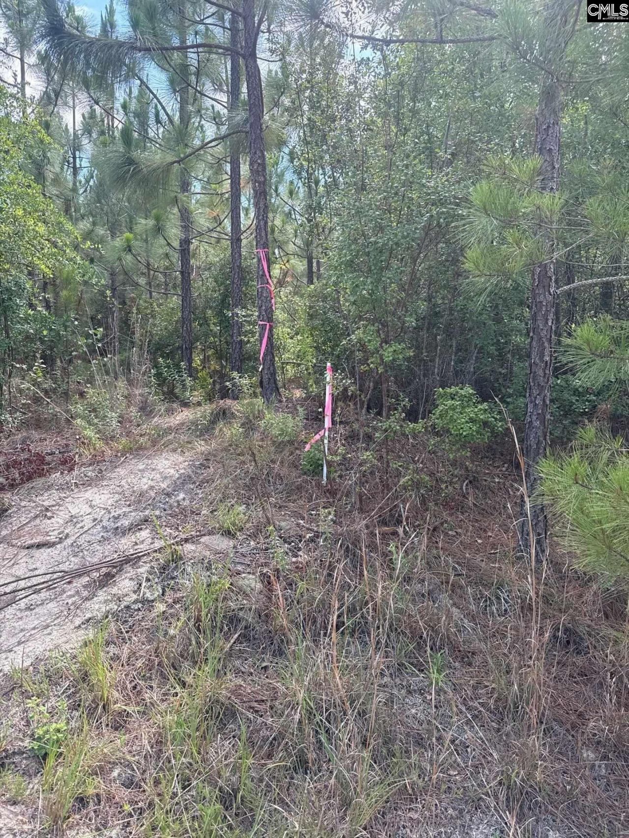Mpf 1 State Rd S-28-31 Road  Photo 5