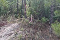 Mpf 1 State Rd S-28-31 Road  photo 4