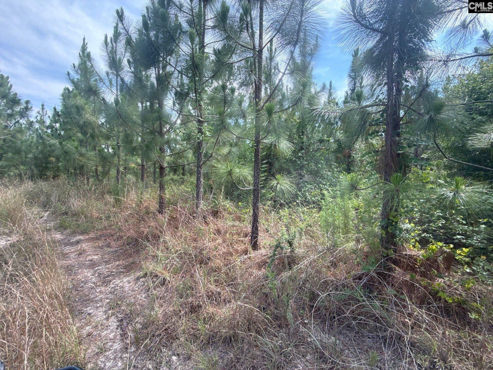 Mpf 1 State Rd S-28-31 Road  Photo 6