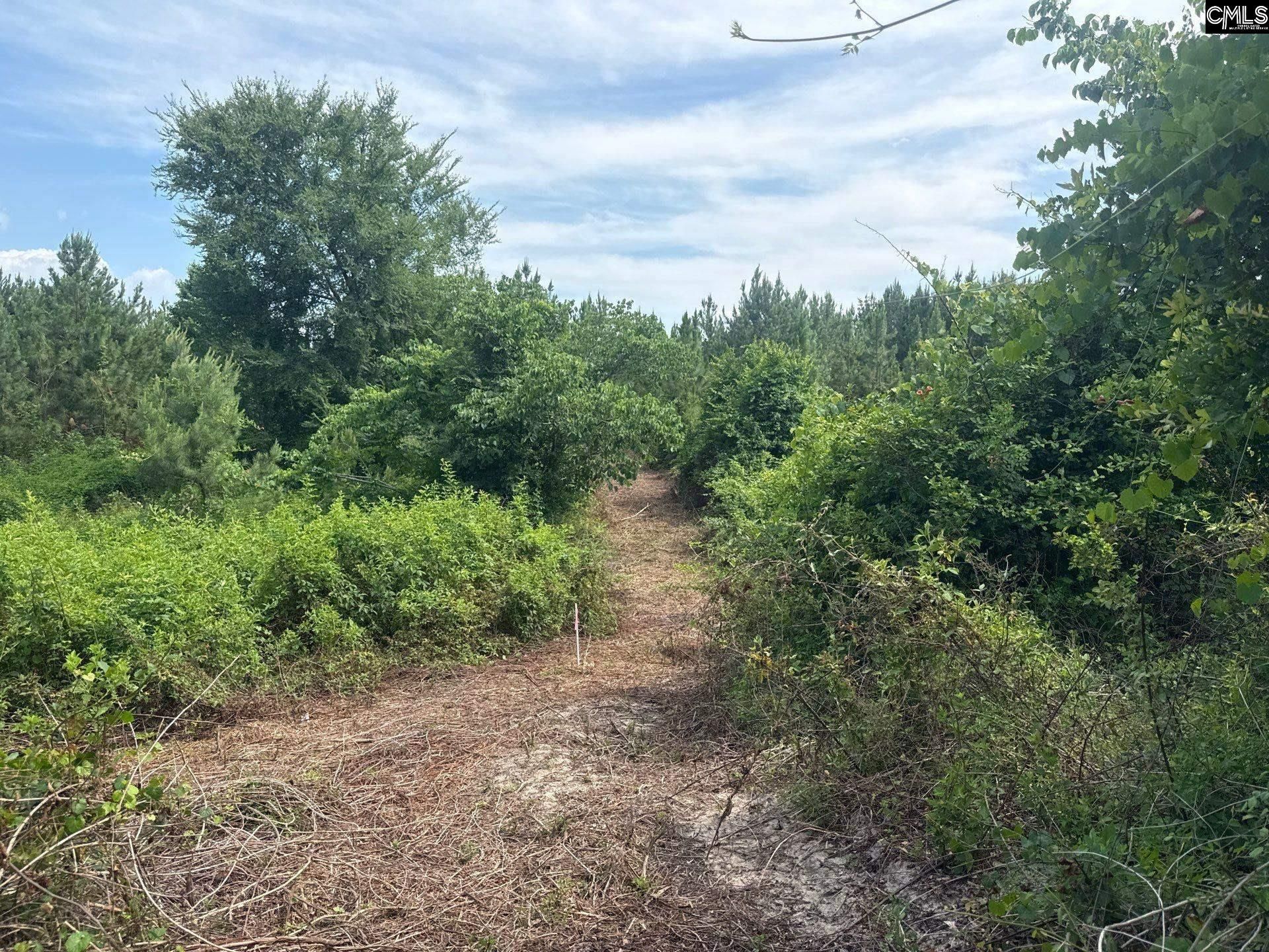 Mpf 1 State Rd S-28-31 Road  Photo 8