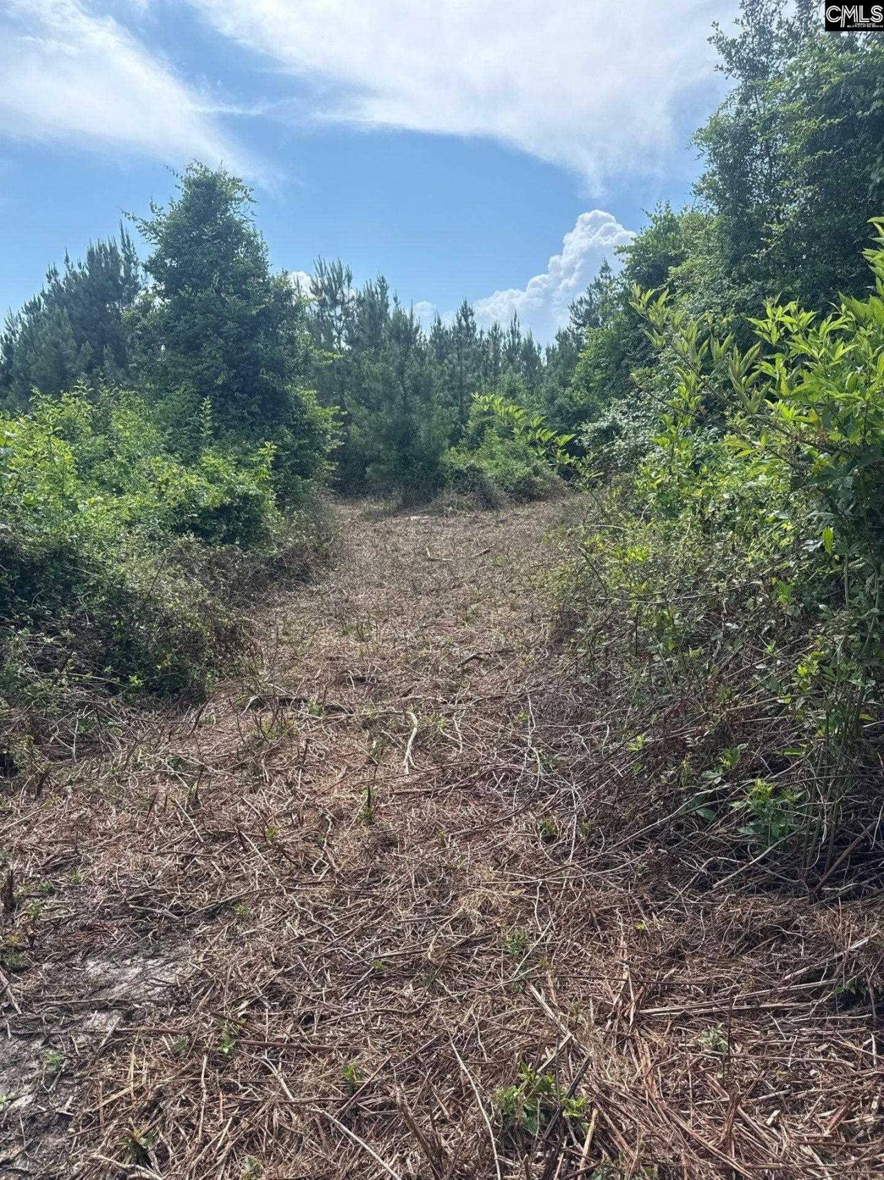 Mpf 1 State Rd S-28-31 Road  Photo 9