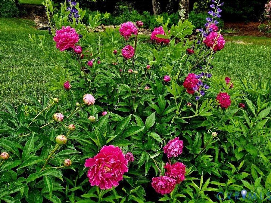 Property Image 64