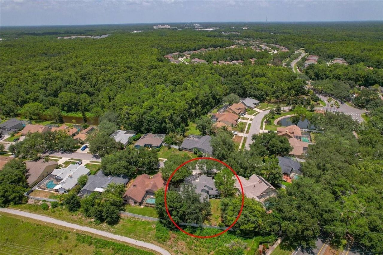 16043 Penwood Drive, Tampa, FL 33647 Photo