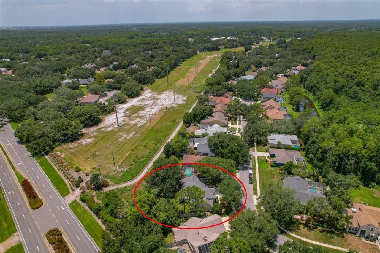 16043 Penwood Drive, Tampa, FL 33647 Photo