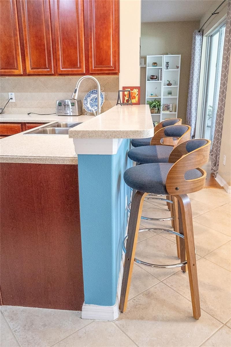 307 Carriage Oak Pl, Seffner, FL 33584 Photo