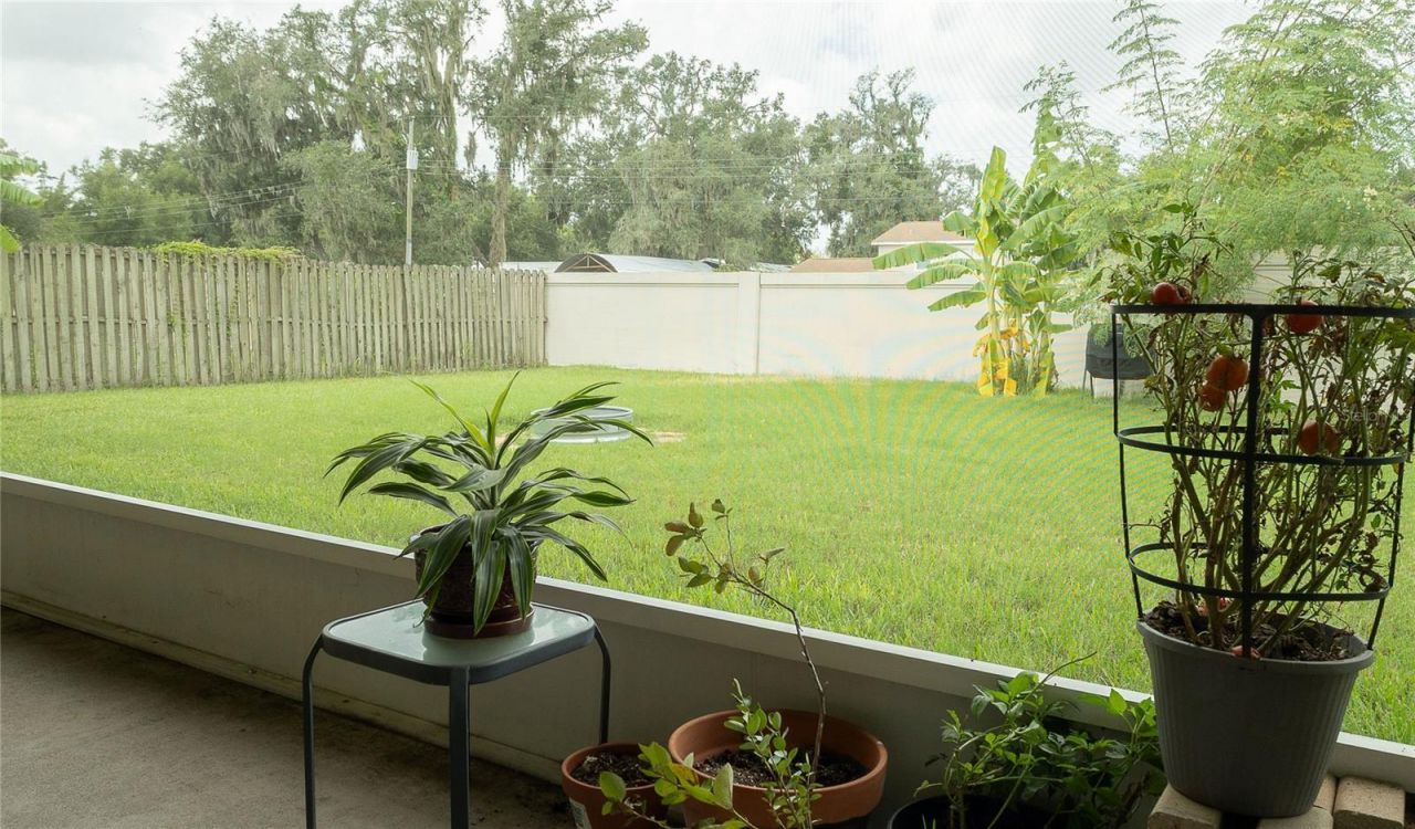 307 Carriage Oak Pl, Seffner, FL 33584 Photo