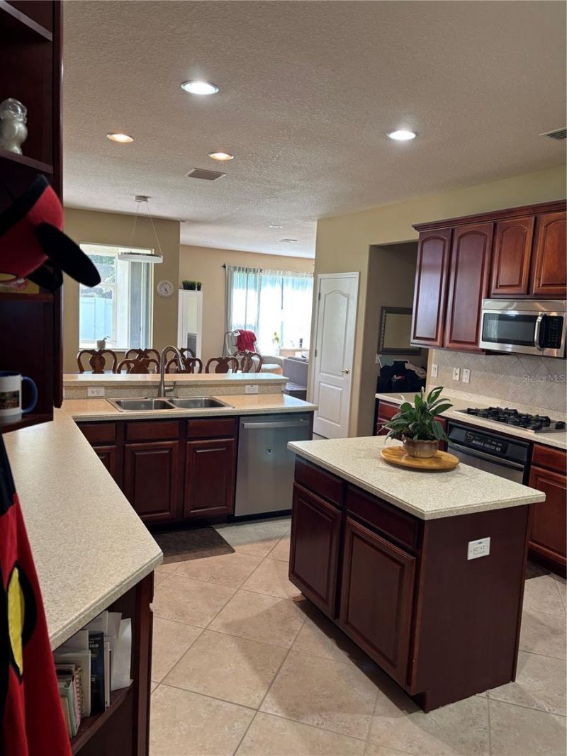 307 Carriage Oak Pl , Seffner, FL 33584 Photo