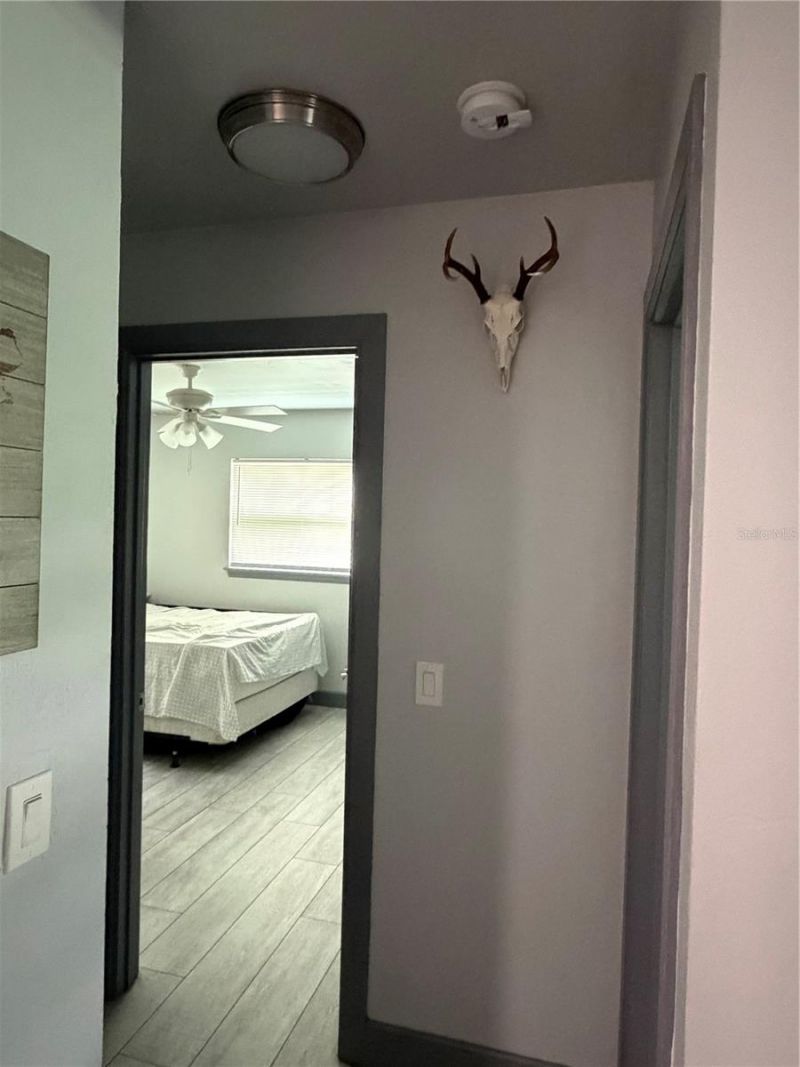 2436 Claire Avenue , New Smyrna Beach, FL 32168 Photo