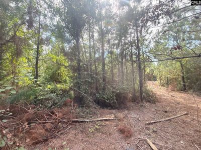 MPF 2 State Rd S-28-31 Road , Unit MPF 2, Jefferson, SC 29718