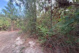 Mpf 2 State Rd S-28-31 Road  photo 4
