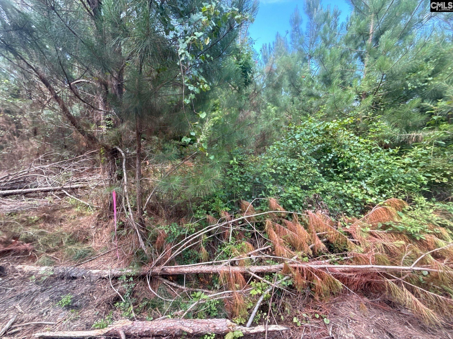 Mpf 2 State Rd S-28-31 Road  Photo 4