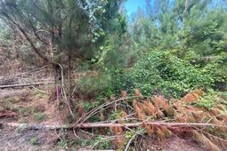 Mpf 2 State Rd S-28-31 Road  photo 4