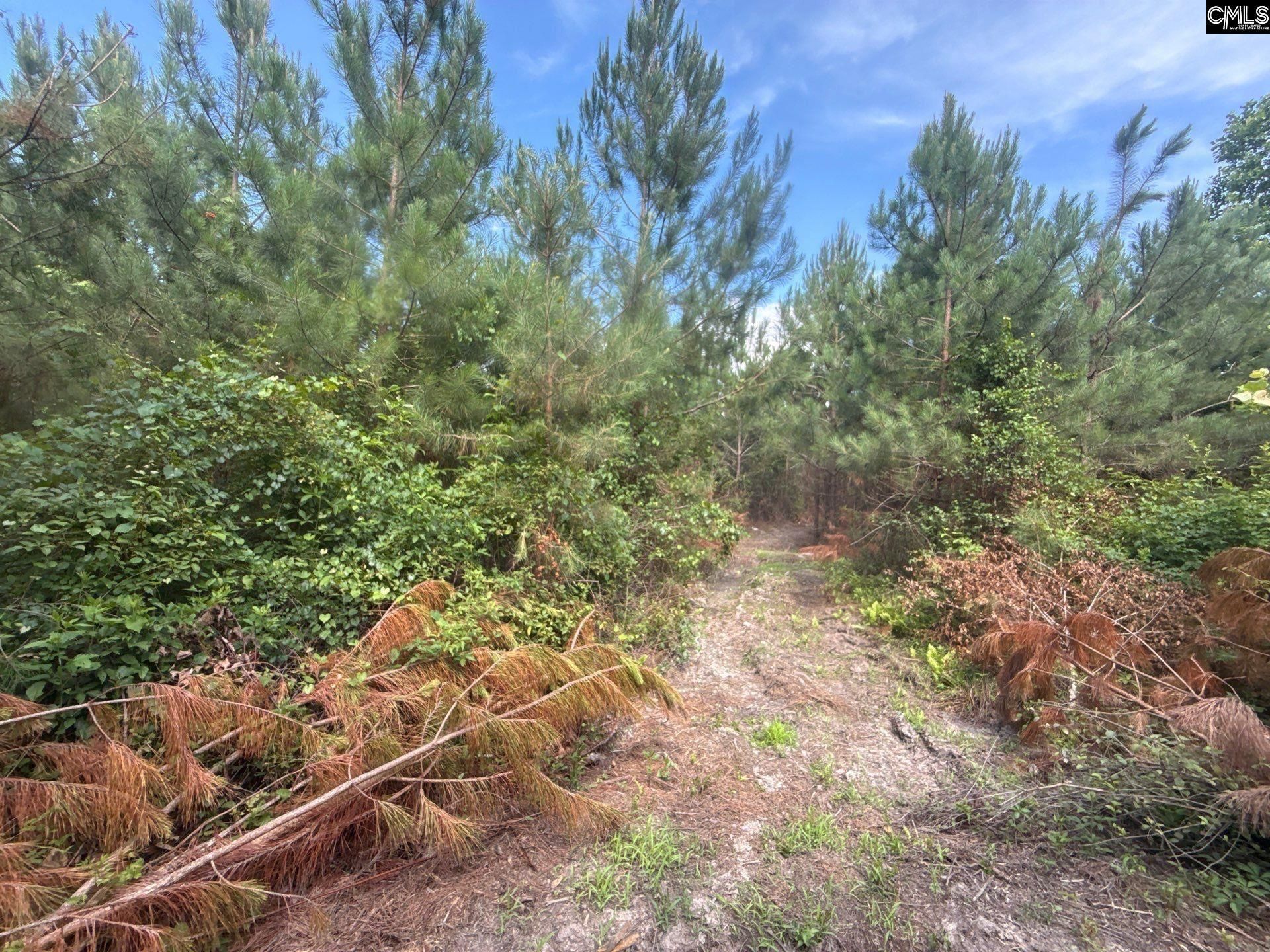 Mpf 2 State Rd S-28-31 Road  Photo 5