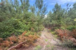 Mpf 2 State Rd S-28-31 Road  photo 4