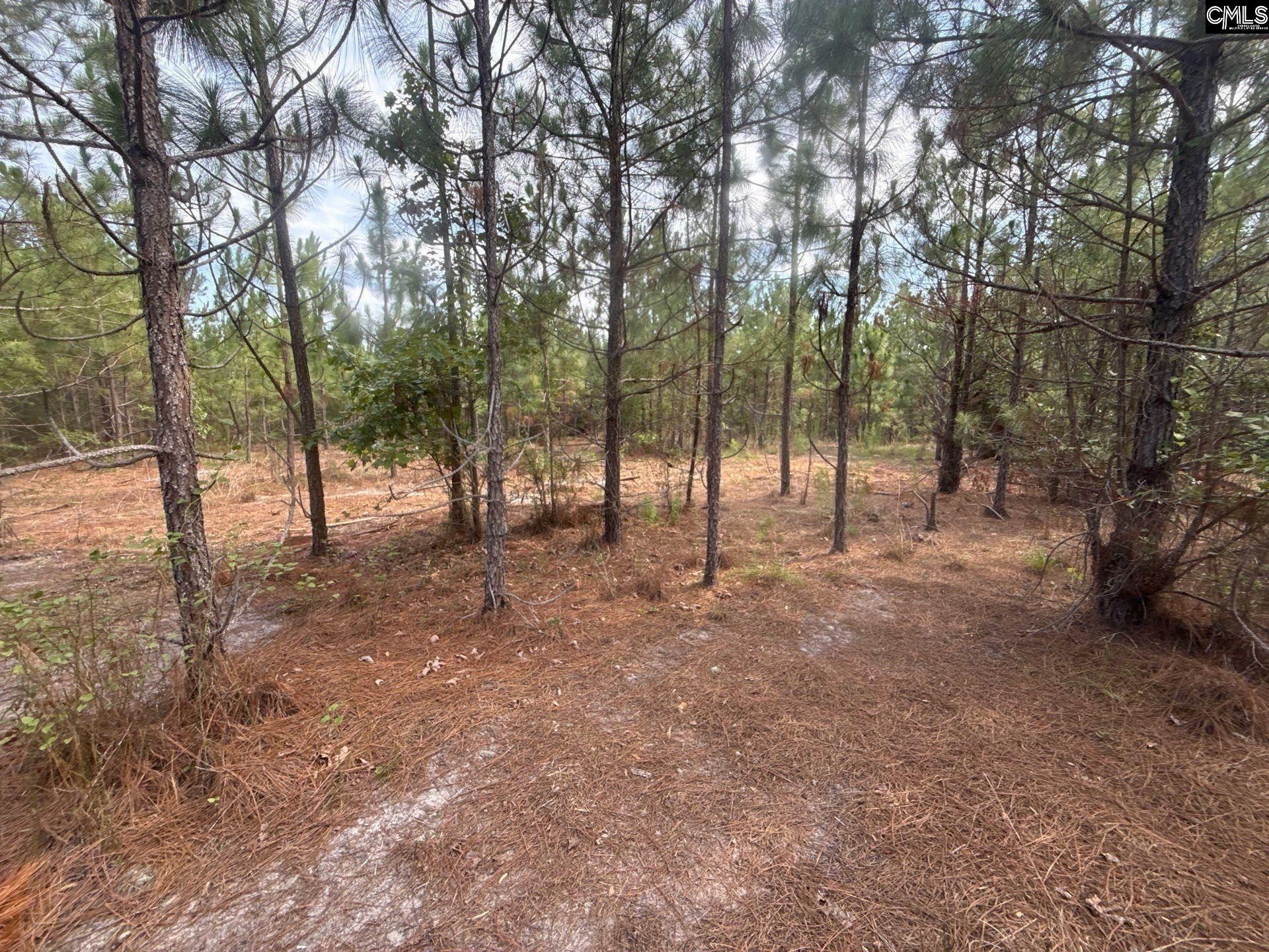 Mpf 2 State Rd S-28-31 Road  Photo 6