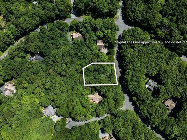 383 TIMBER CAMP DR, Wintergreen Resort, VA 22967