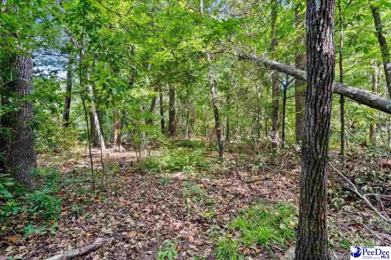 2273 Inverness Dr. Photo 35