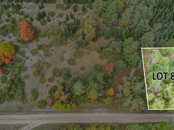 V/L Trout Creek Road, Cheboygan, MI 49721