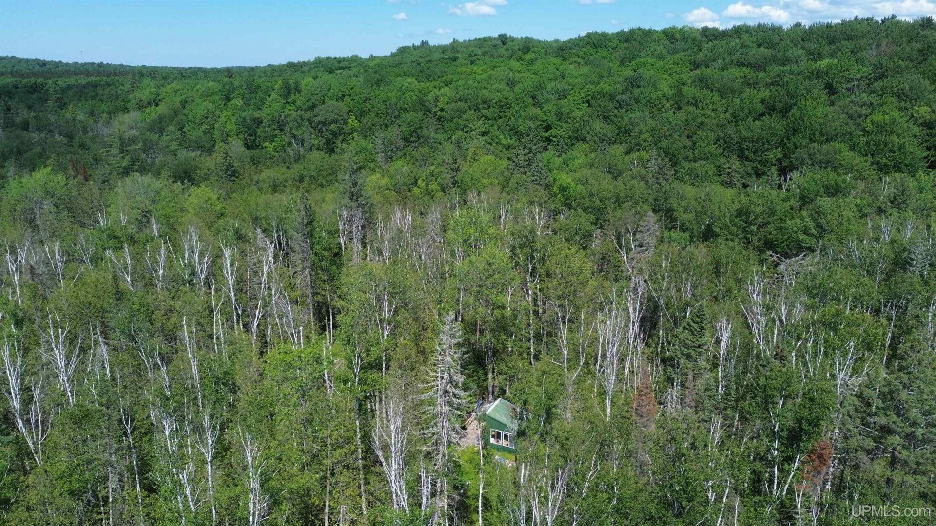 Forest 13 Highway, Nahma Twp, MI 49895 Main Photo