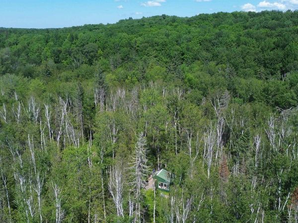 Forest 13 Highway, Nahma Twp, MI 49895