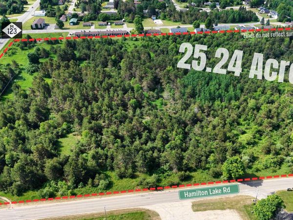 TBD State Hwy M-123 Highway, Pentland Twp, MI 49868