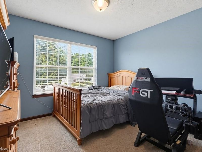10313 Dayflower Drive, Twinsburg, OH 44087 Photo 30
