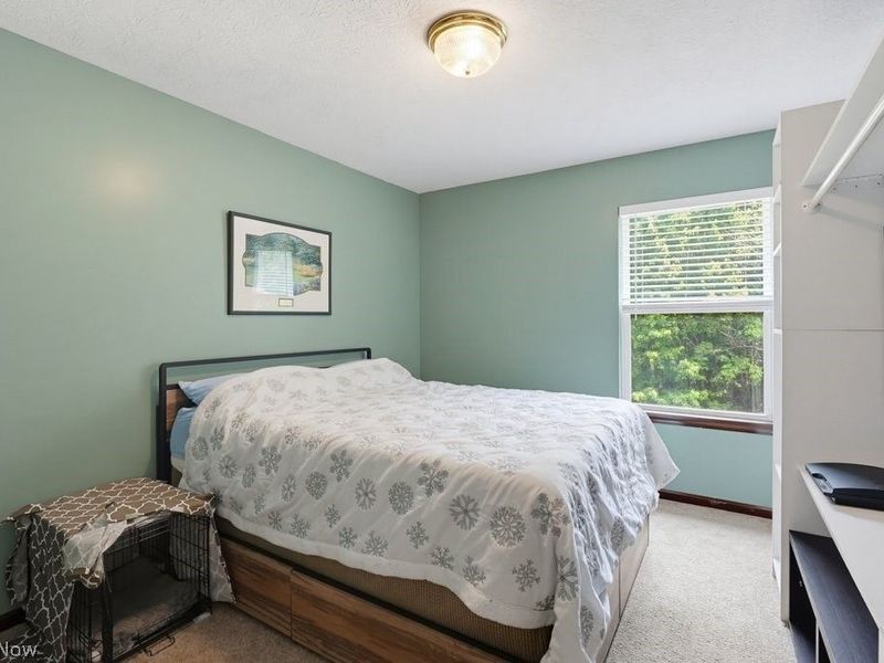 10313 Dayflower Drive, Twinsburg, OH 44087 Photo 32