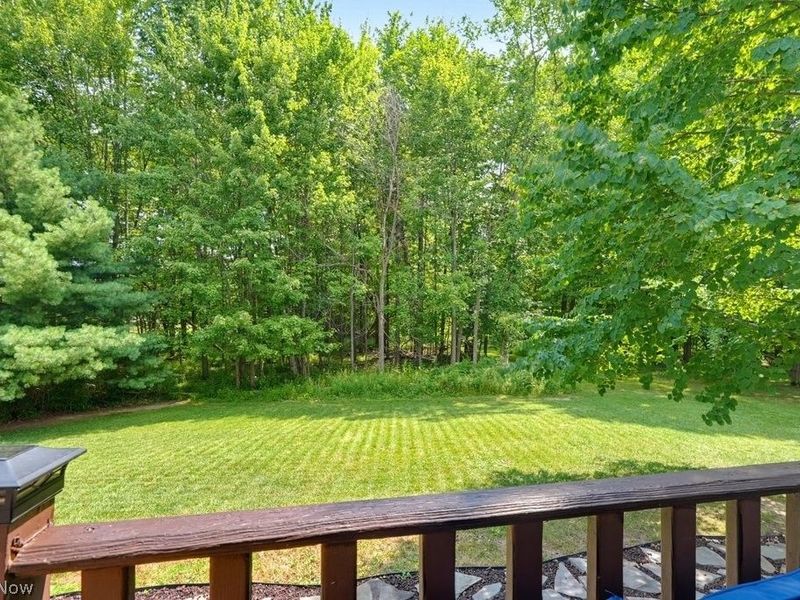 10313 Dayflower Drive, Twinsburg, OH 44087 Photo 45