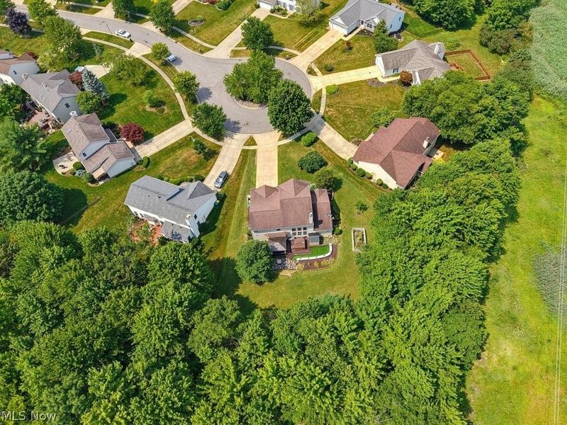 10313 Dayflower Drive, Twinsburg, OH 44087 Photo 5