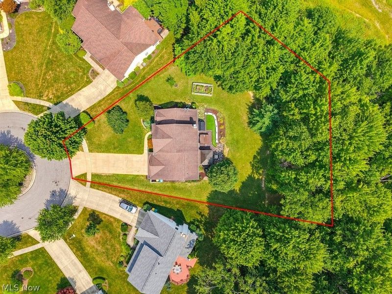 10313 Dayflower Drive, Twinsburg, OH 44087 Photo 6