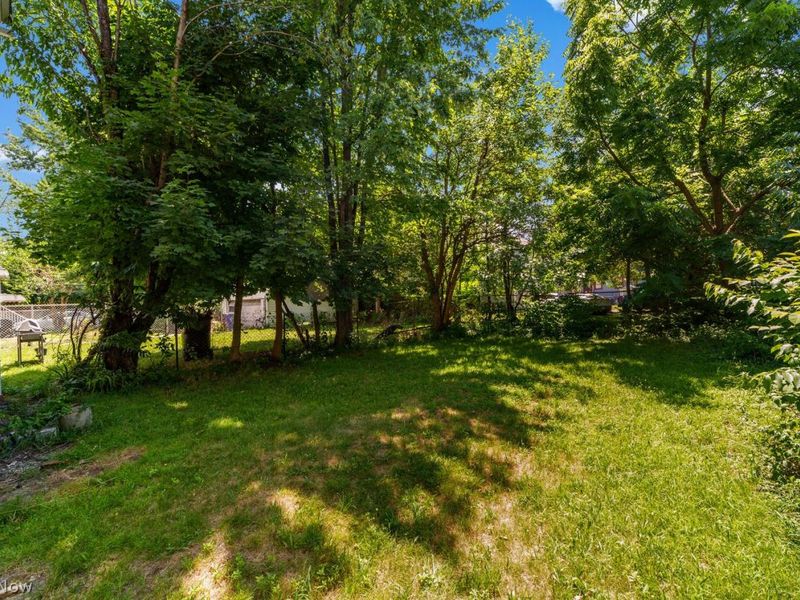 10906 Churchill Avenue, Cleveland, OH 44106 Photo 27