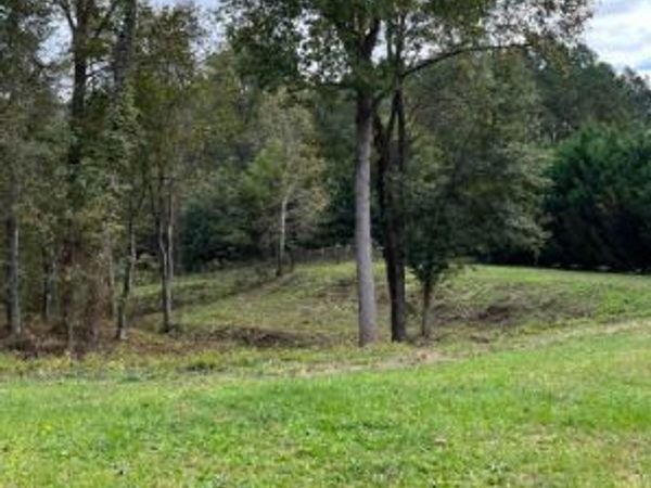 1001 Butterfly Cove Way, Locust Grove, GA 30248