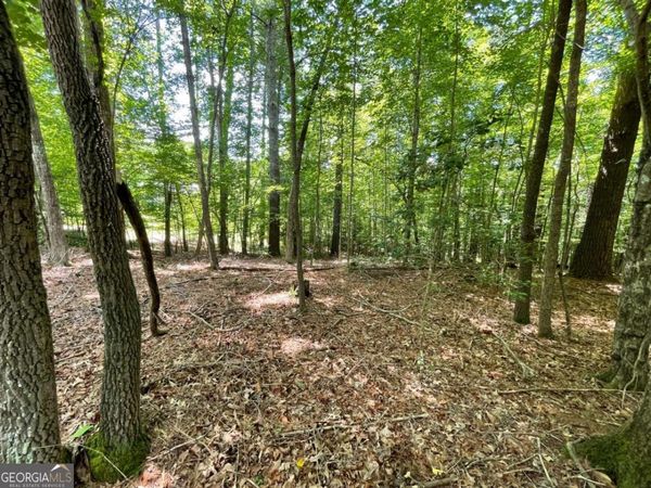 LOT 2 Mount Pleasant Ridge Road, Unit 2, Blairsville, GA 30512