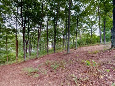 11 Tow Lane, Murray, KY 42071