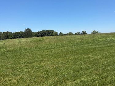 405 Arrowhead Springs Lane, Versailles, KY 40383