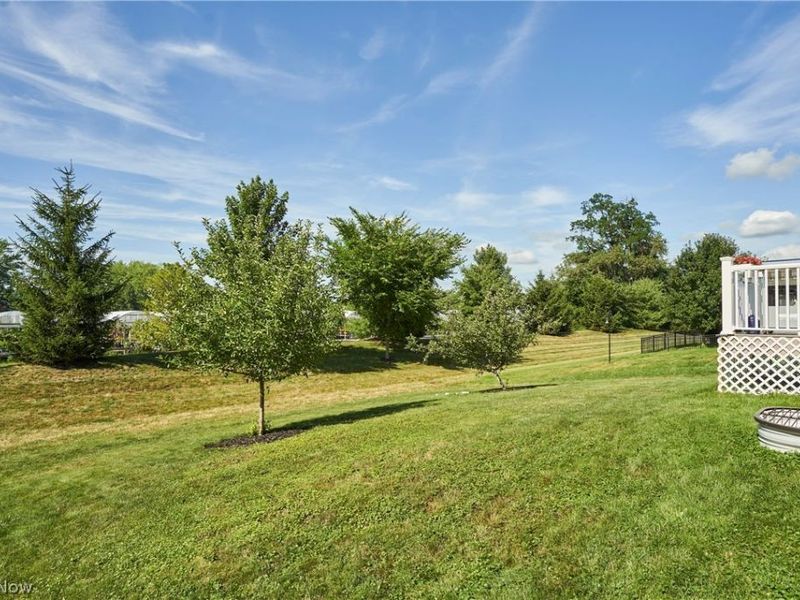 180 Nottingham Way, Wadsworth, OH 44281 Photo 34