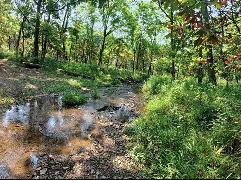 Shreve Road, Shreve, OH 44676 Photo 10
