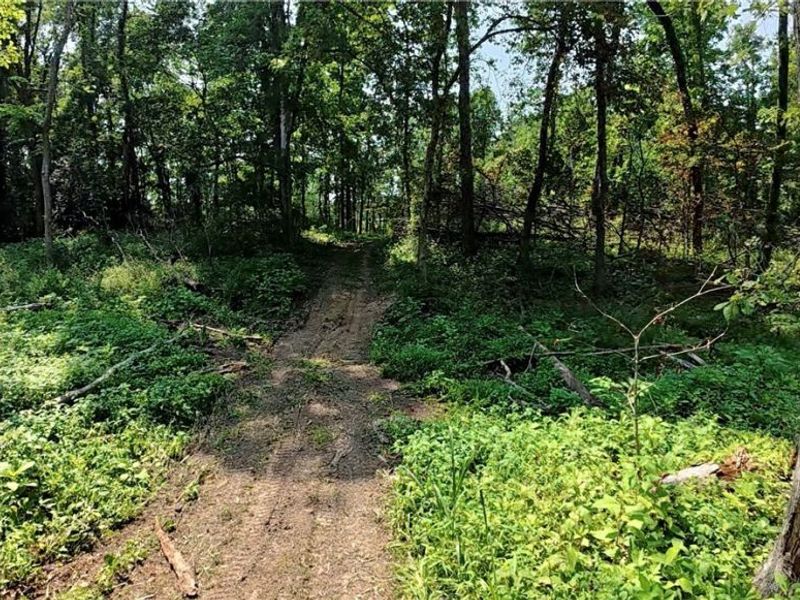 Shreve Road, Shreve, OH 44676 Photo 9